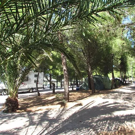 Le Rondini Di San Bartolo * San Vincenzo