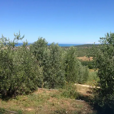 Le Rondini Di San Bartolo *